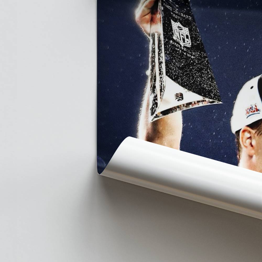 Campeón de la NFL Póster