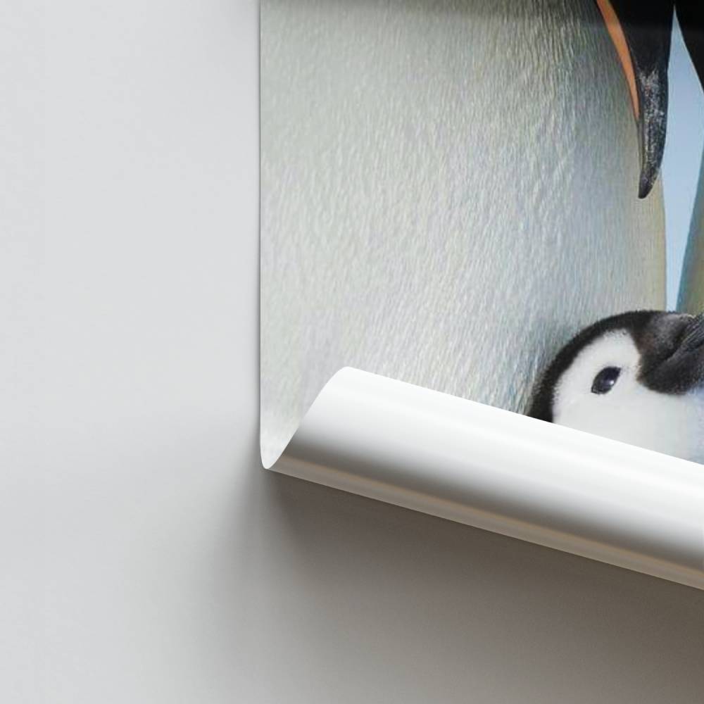 Póster Ternura Huella