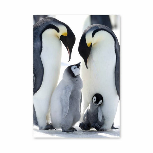 Poster Famille Impériale