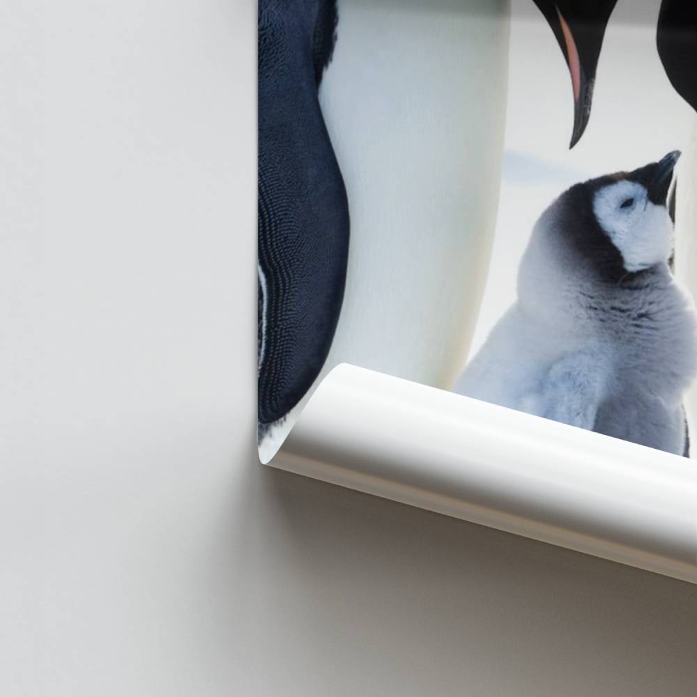 Familia Imperial Póster