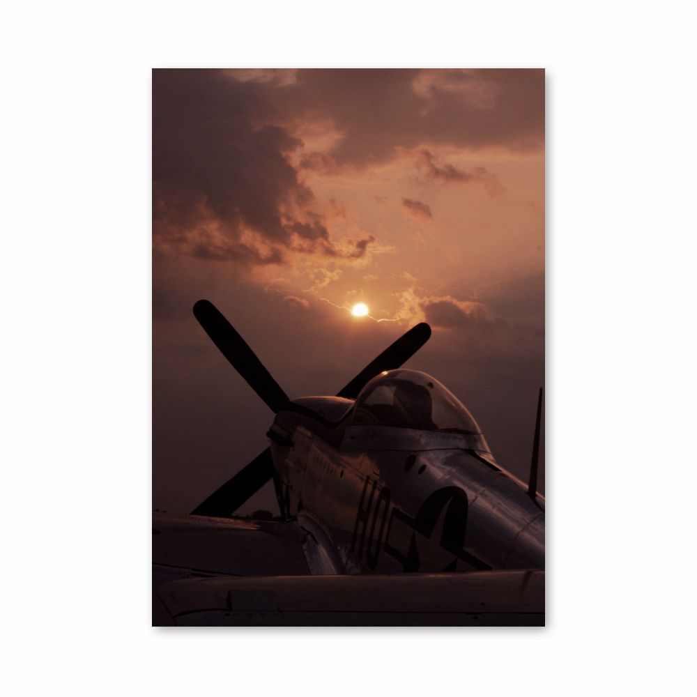 Poster Hélices