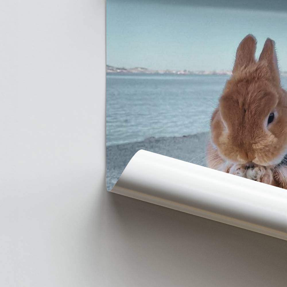 Conejo tierno Póster