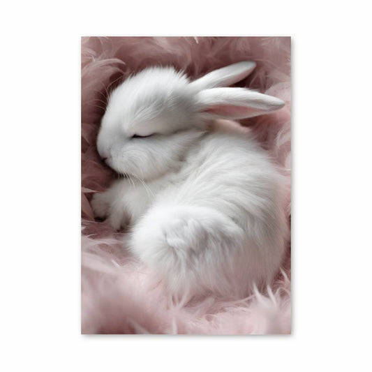 Poster Doux Lapin Blanc