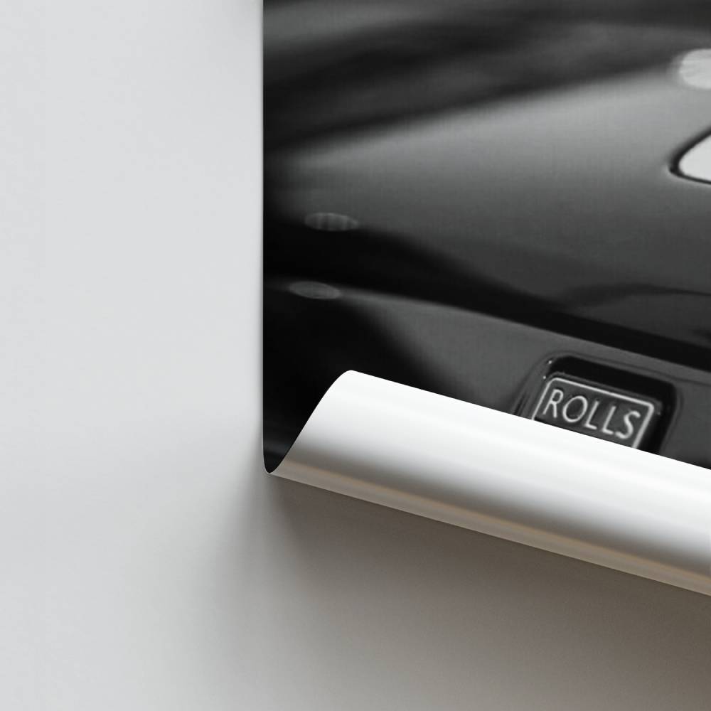 Elegancia fantasma Póster