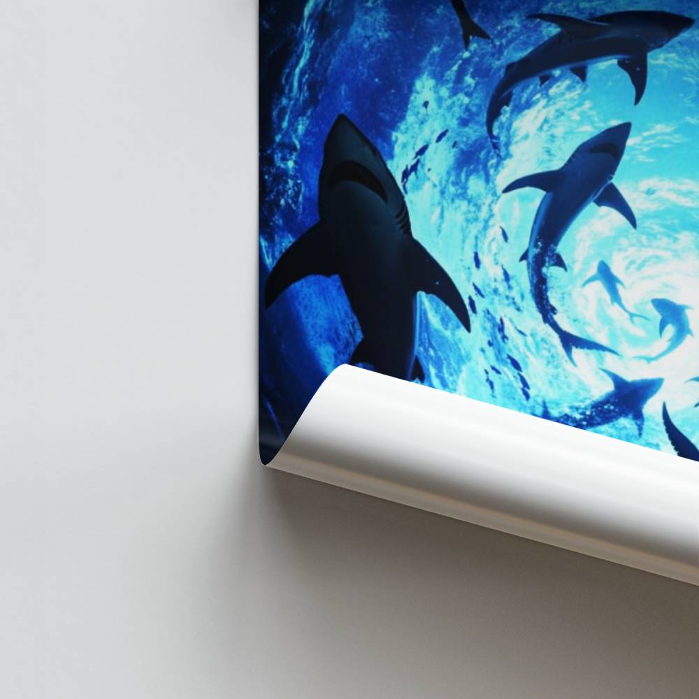 Vórtice marino Póster