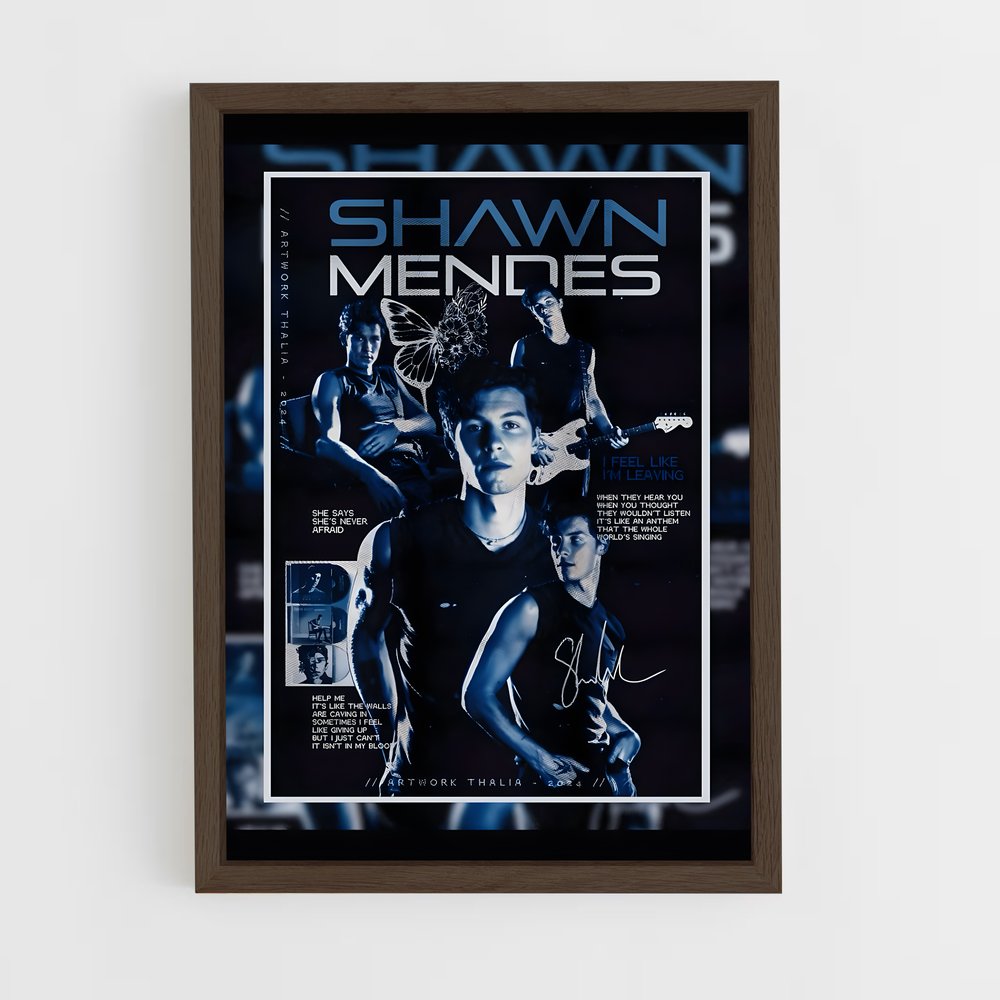 shawn-mendes-20 cadre Bois foncé