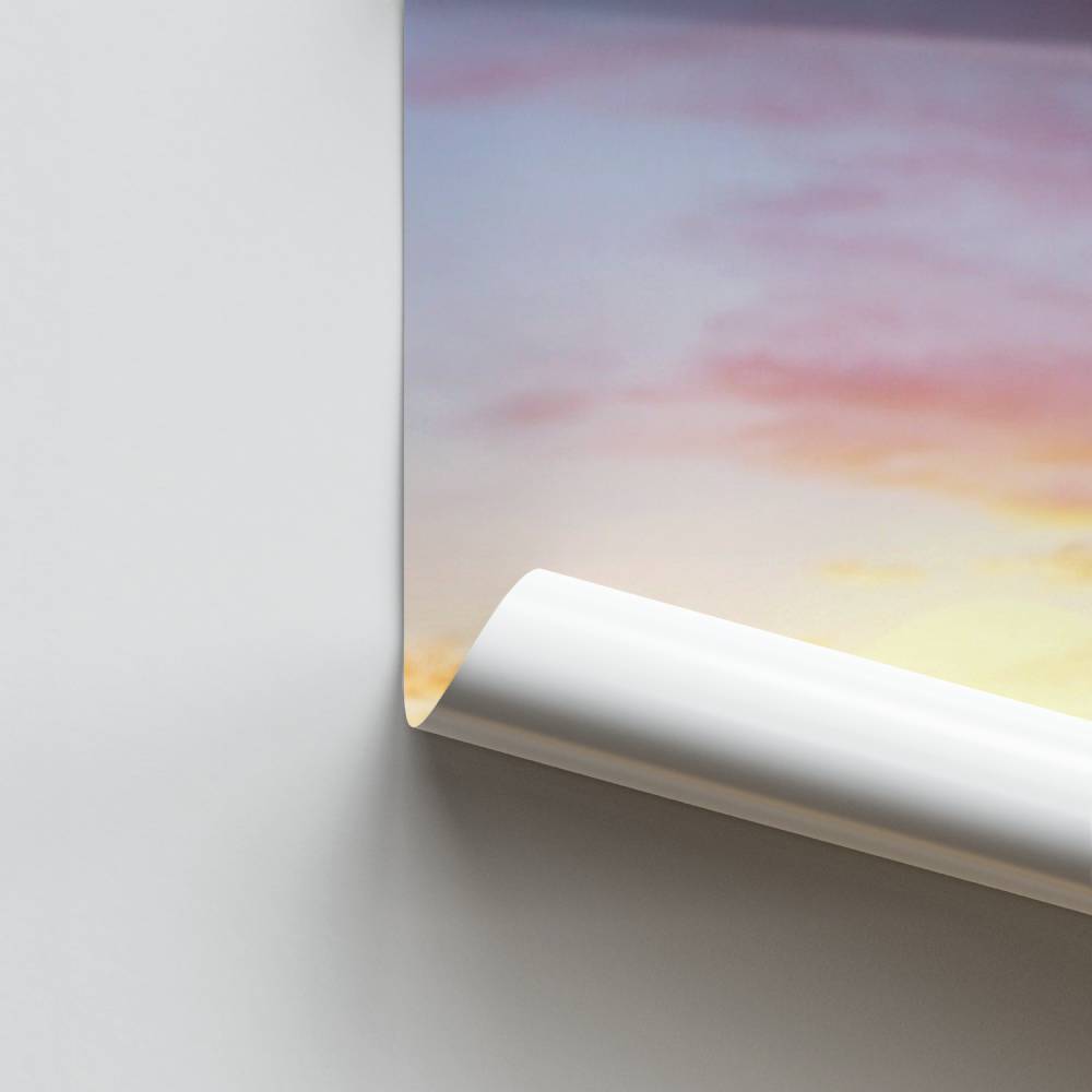 Póster Shrek Fiona Humana