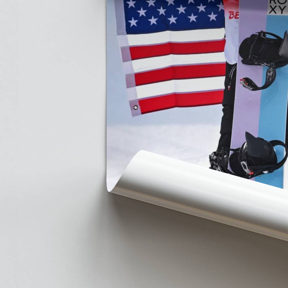 Campeón de snowboard Póster