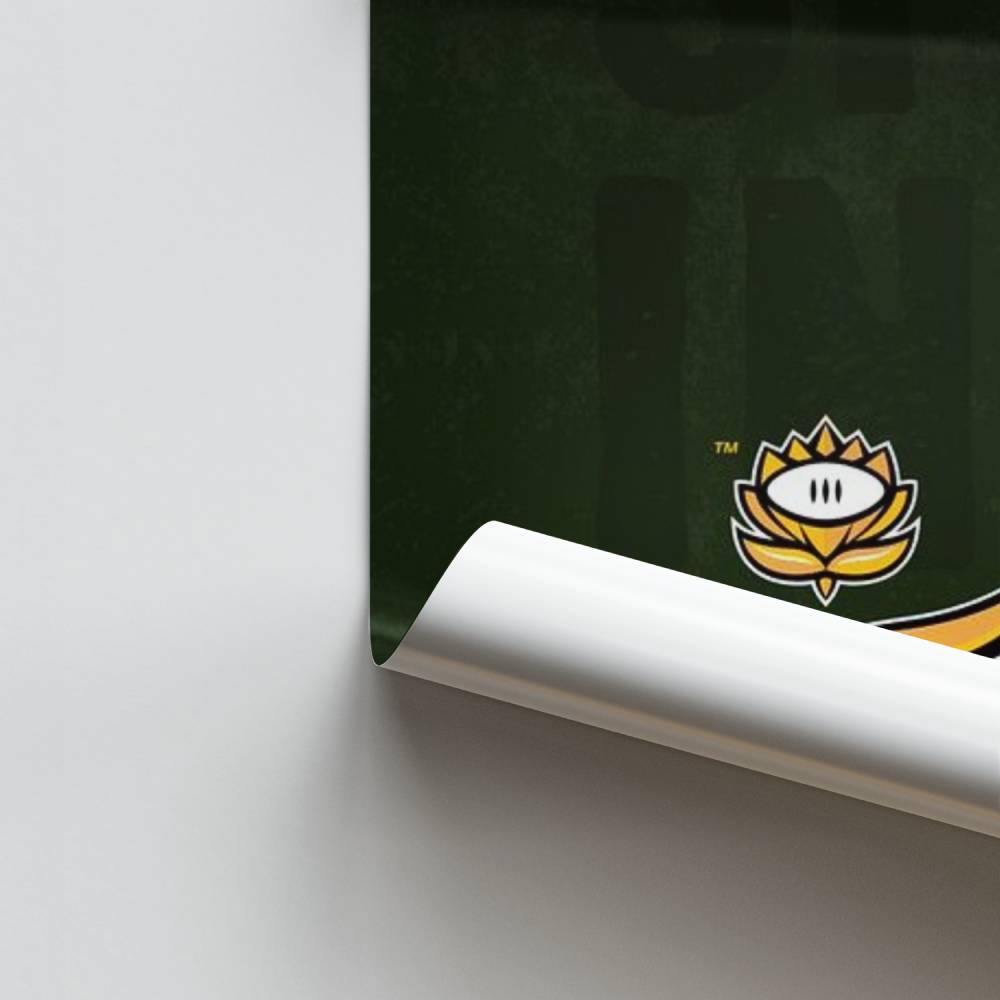 Poster Springbok Élan