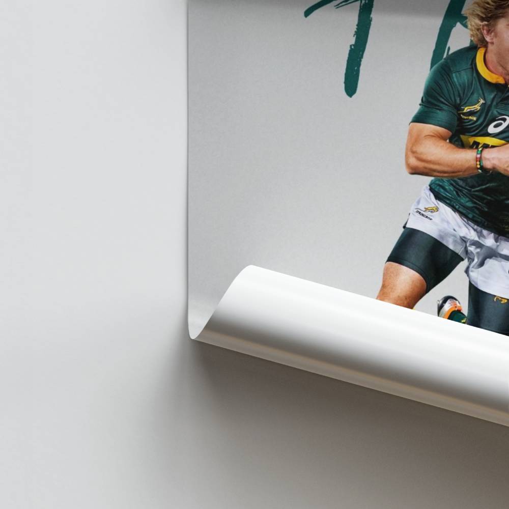 Springbok dinámico Póster