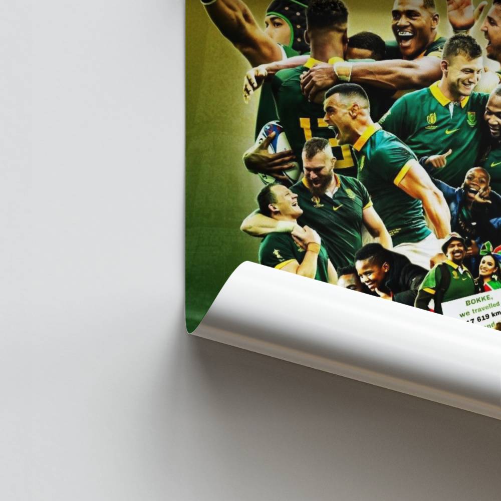 Cartel Campeones Springboks