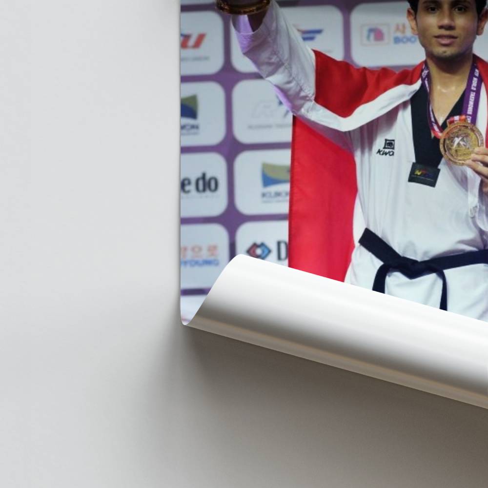 Campeón de taekwondo Póster