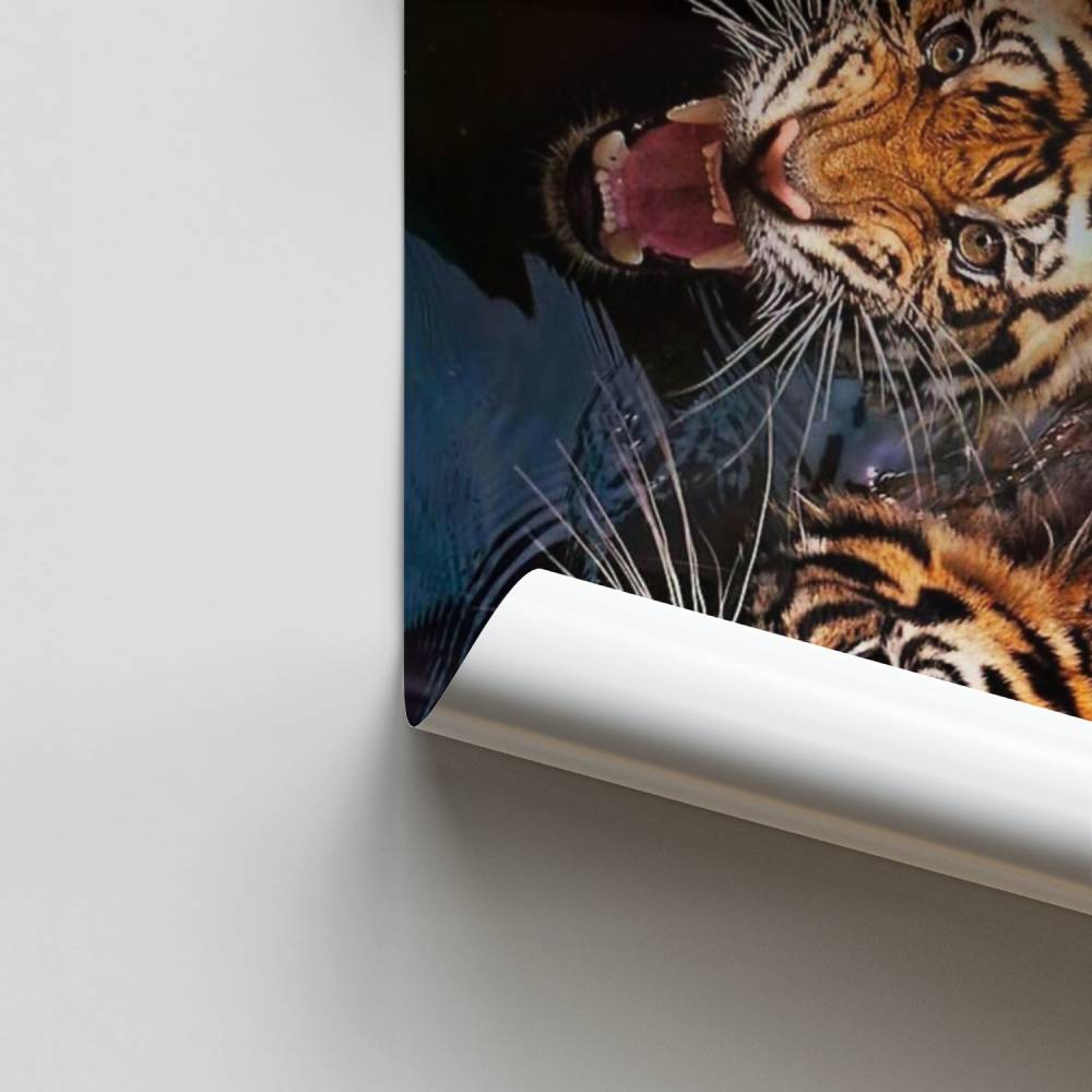 Tigres acuáticos Póster