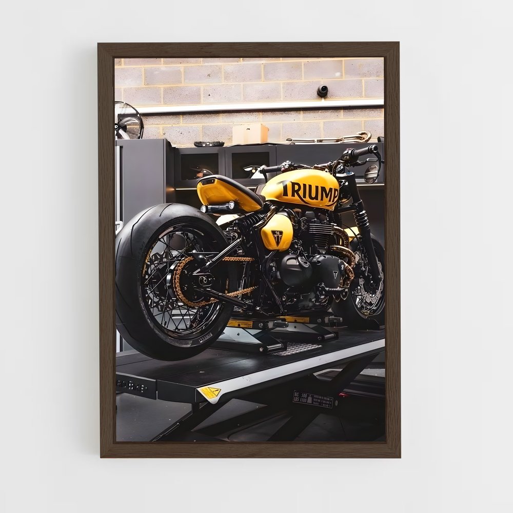 triumph-6 cadre Bois foncé