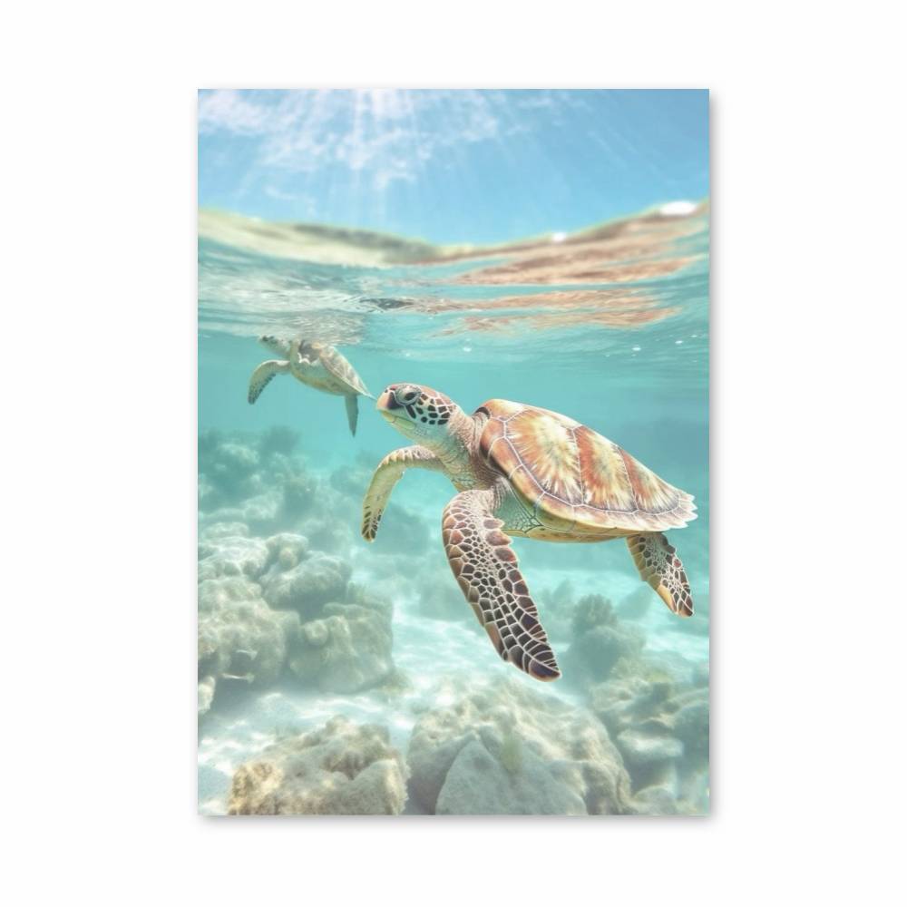 Poster Évasion Tortue