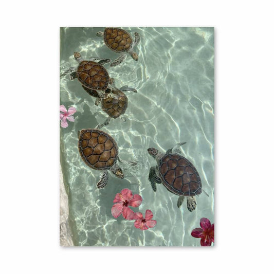 Poster Tortues Tropicales