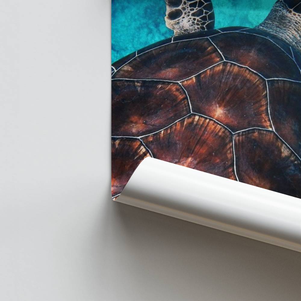 Póster Serenidad del océano