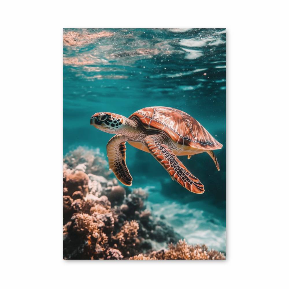 Poster Évasion Océanique