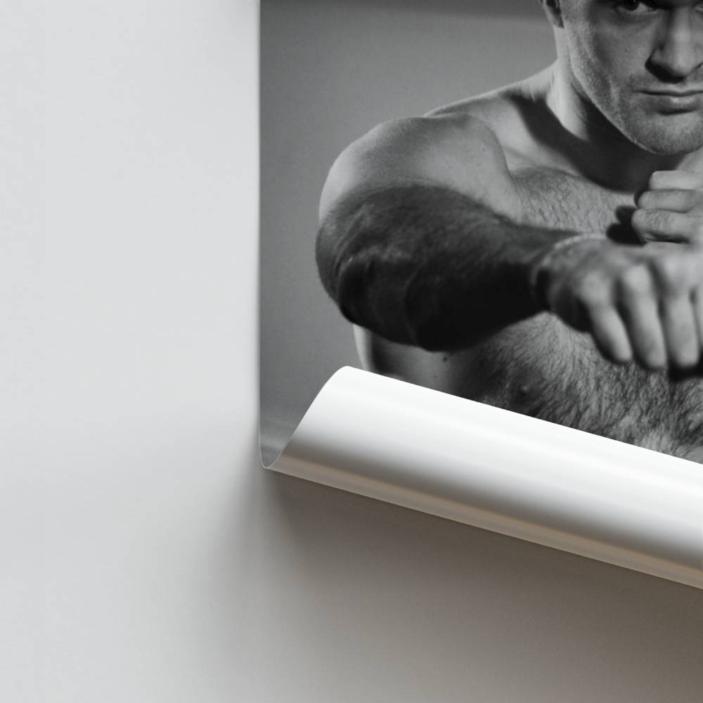 Cartel Campeón de Boxeo