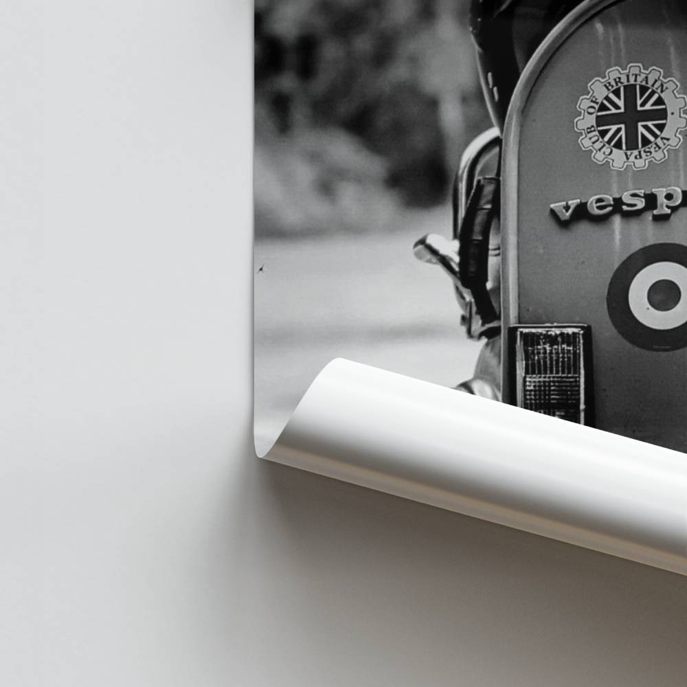 Icono de la vendimia Póster