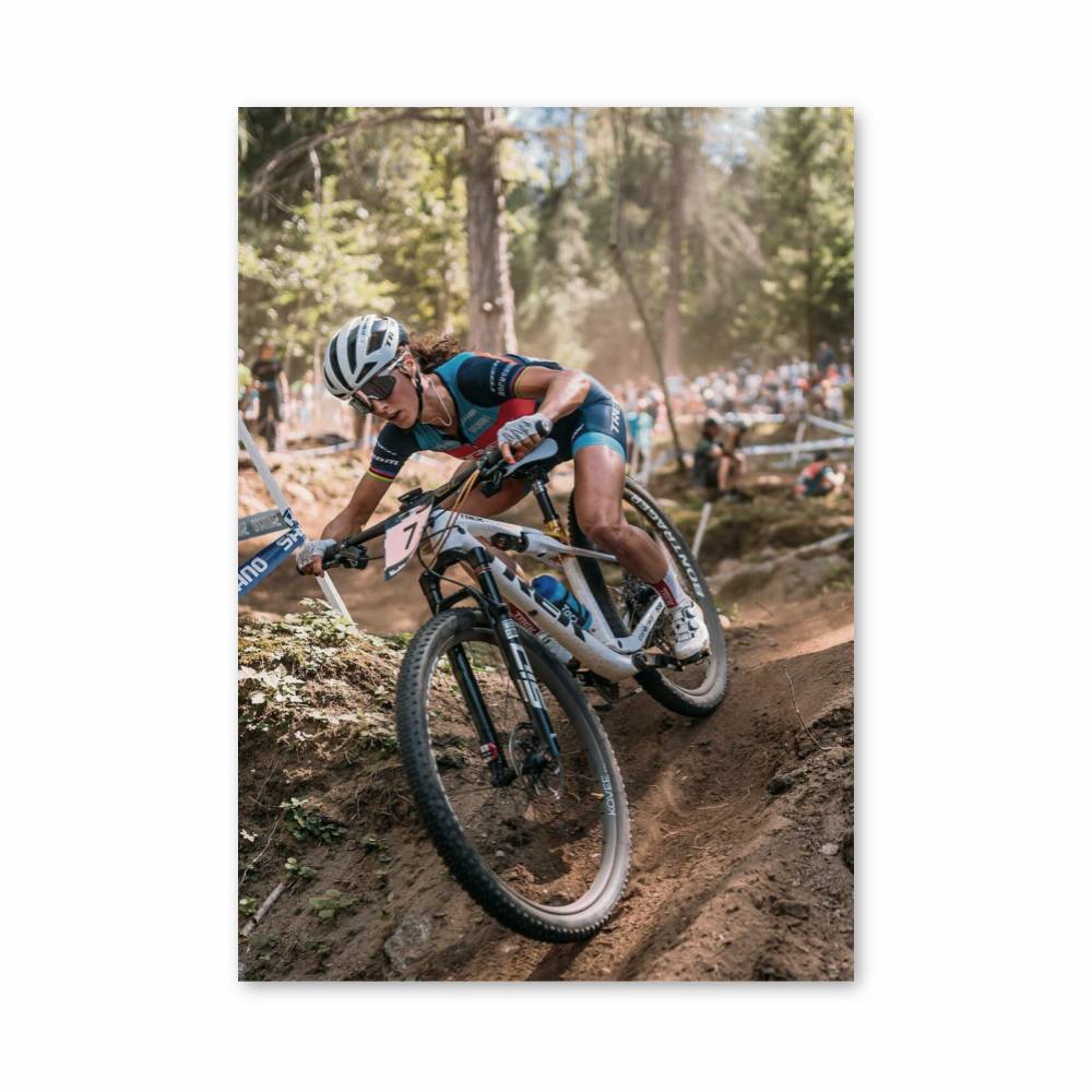 Poster Adrénaline VTT
