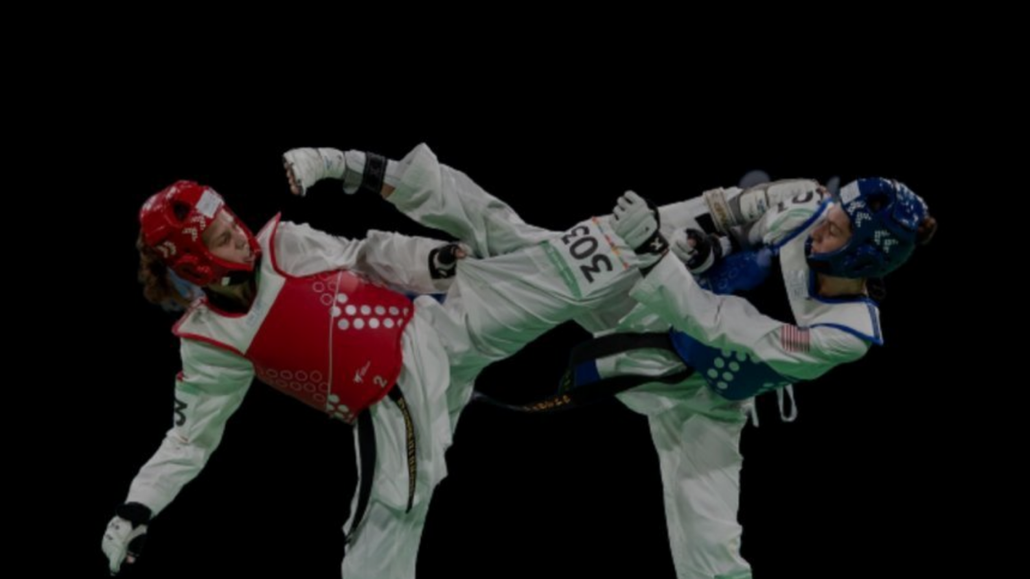 Posters Taekwondo