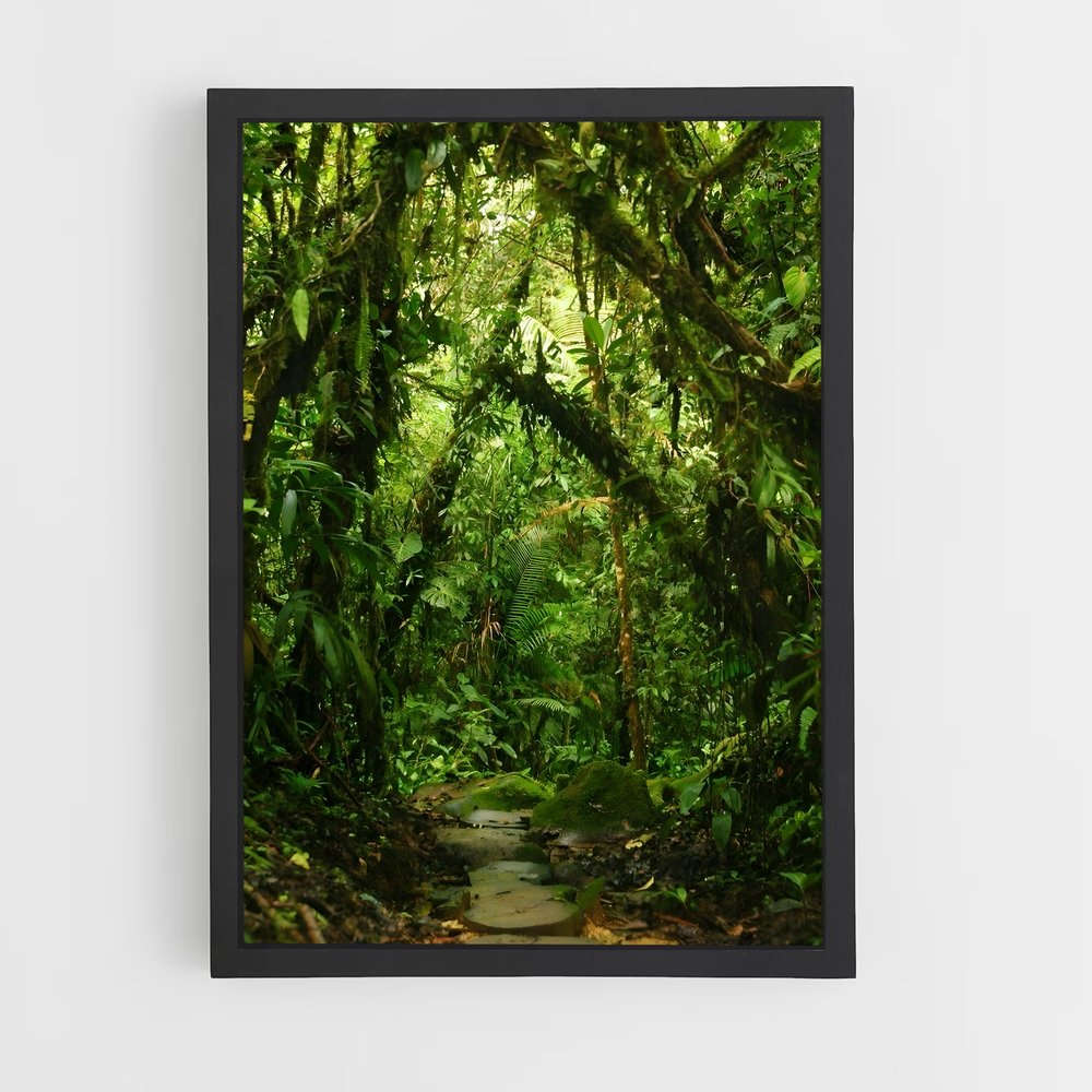 amazonia-11 cadre Noir