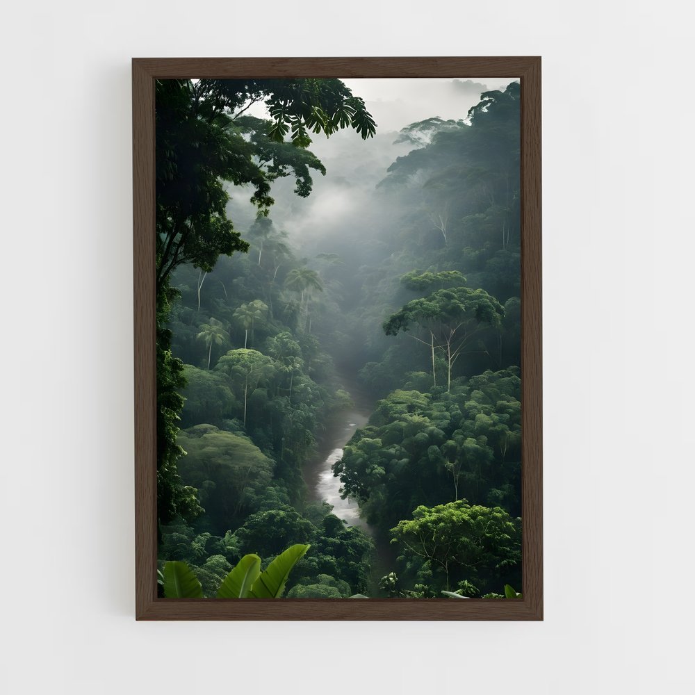 amazonia-3 cadre Bois foncé