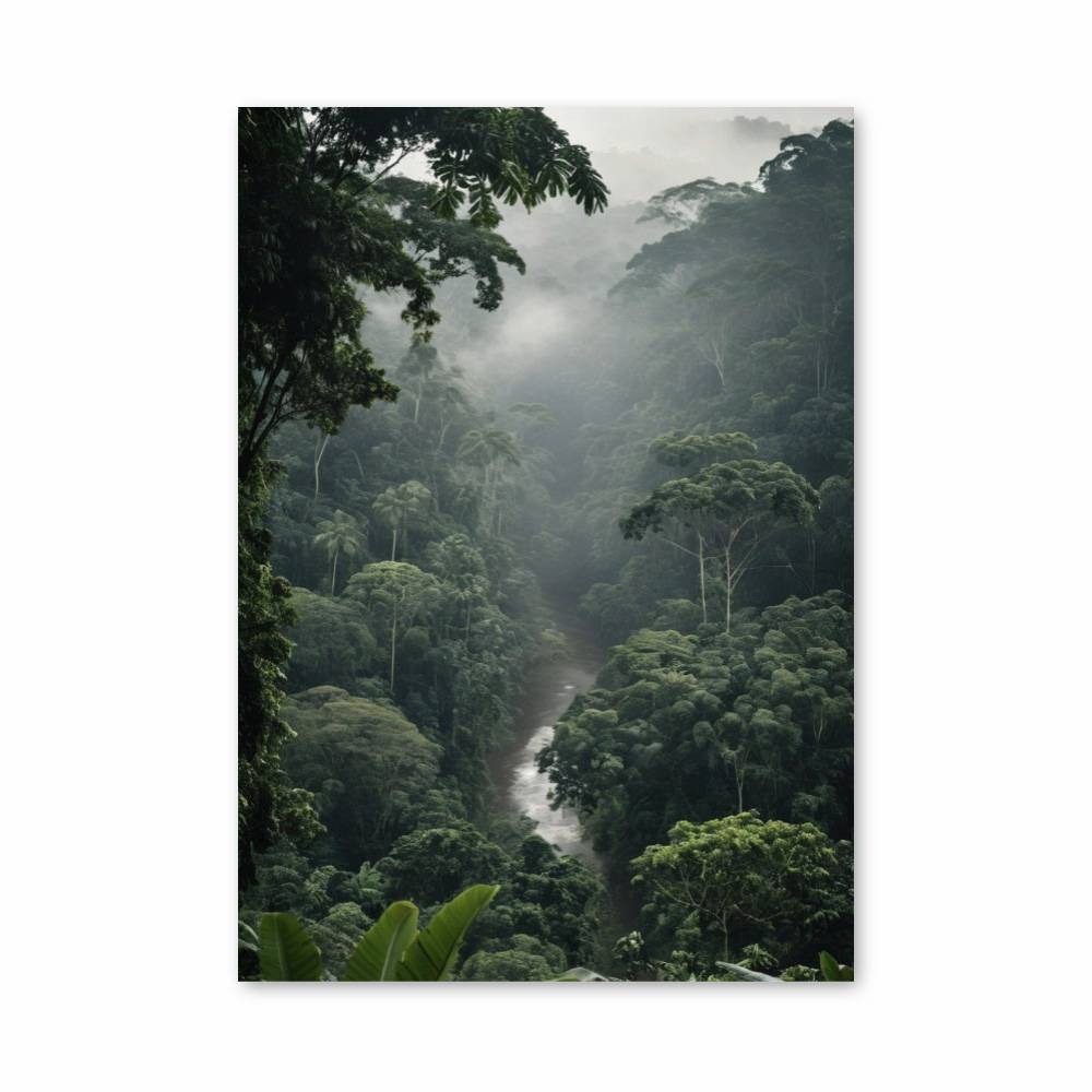 Poster Forêt d'amazonie