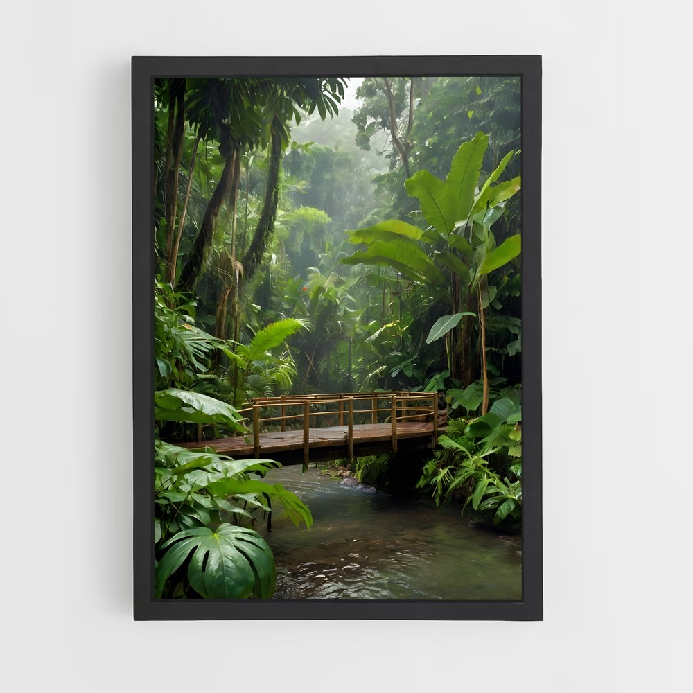 amazonia-7 cadre Noir