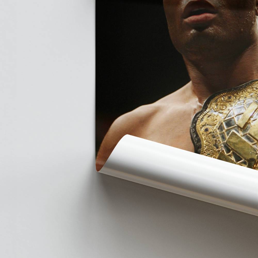 Póster Cinturón Anderson Silva