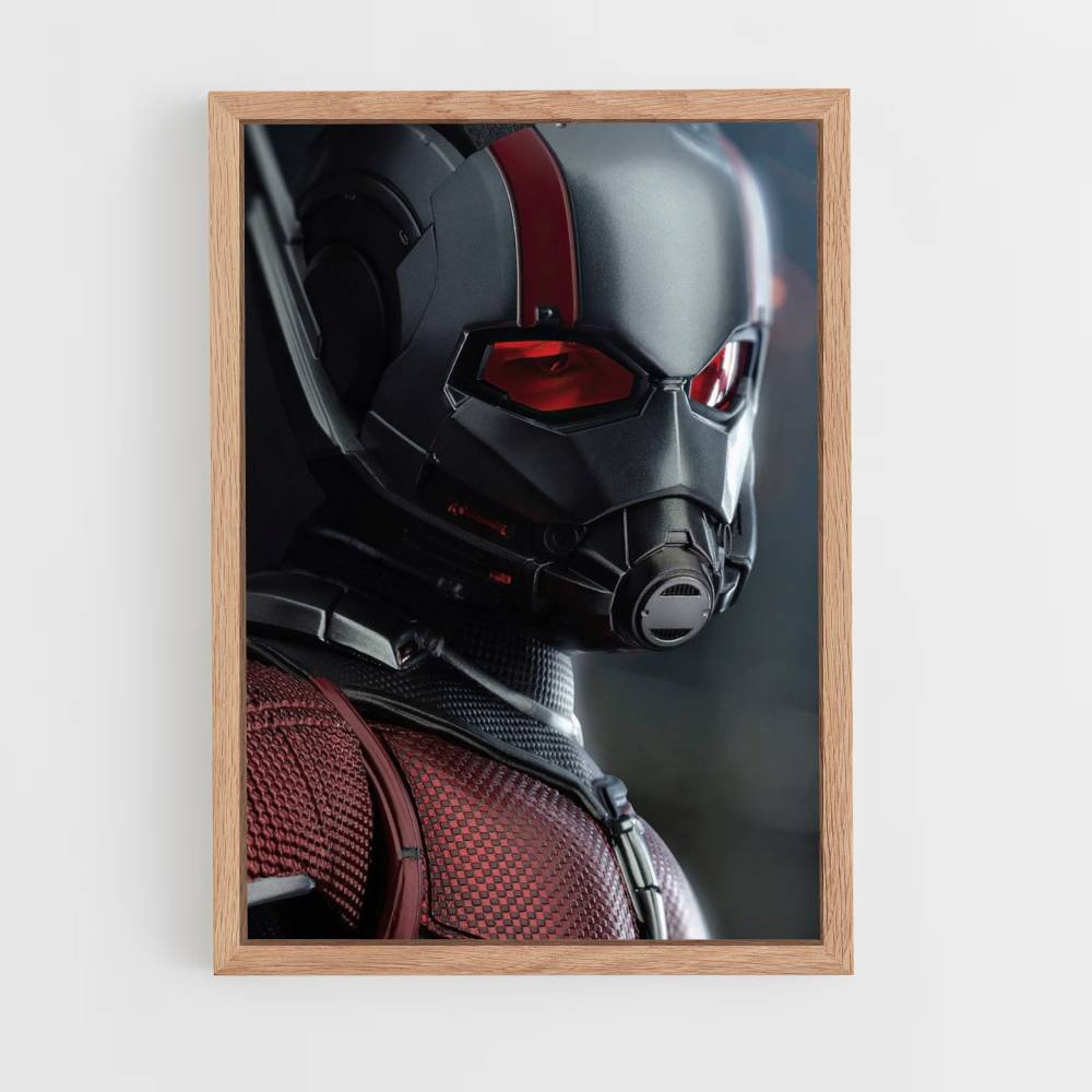 Máscara de Antman Póster