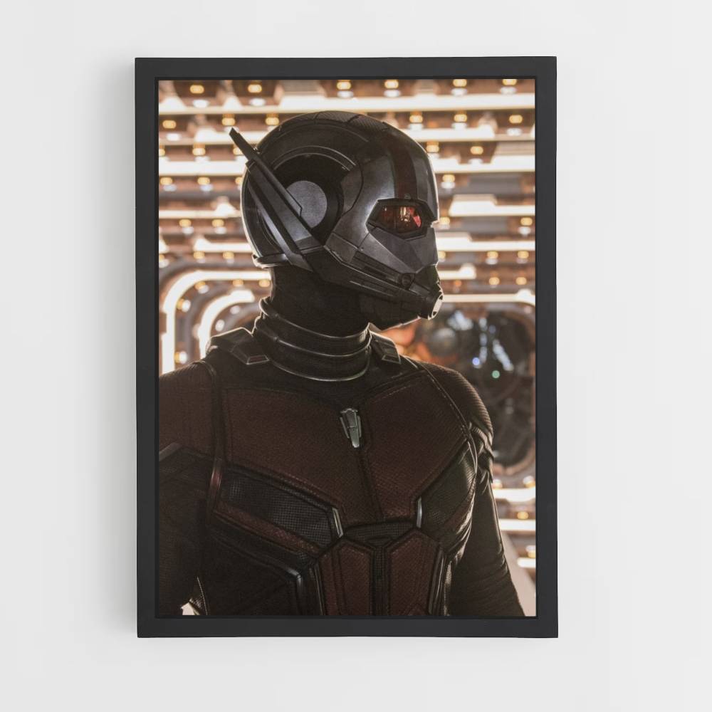 Póster Perfil de Antman