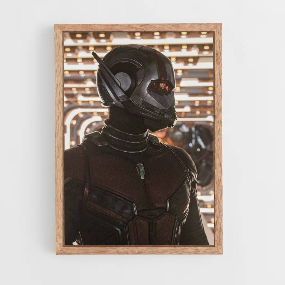 Póster Perfil de Antman