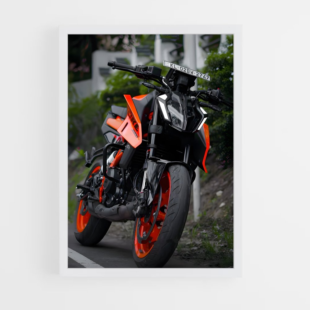 ap-125 duke-2 cadre Blanc