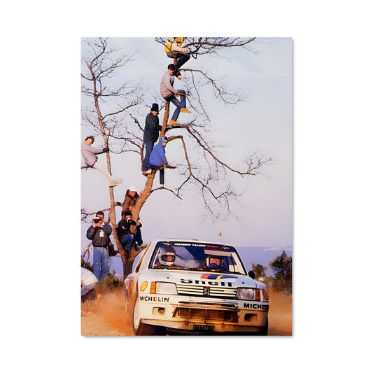 Poster Aventure Arboricole