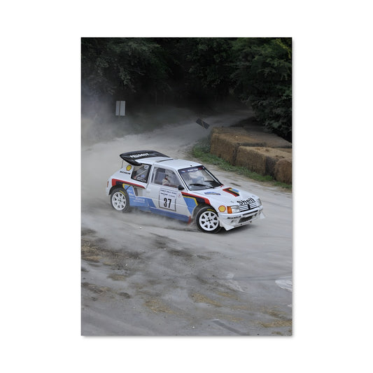 Poster 205 rallye 79114