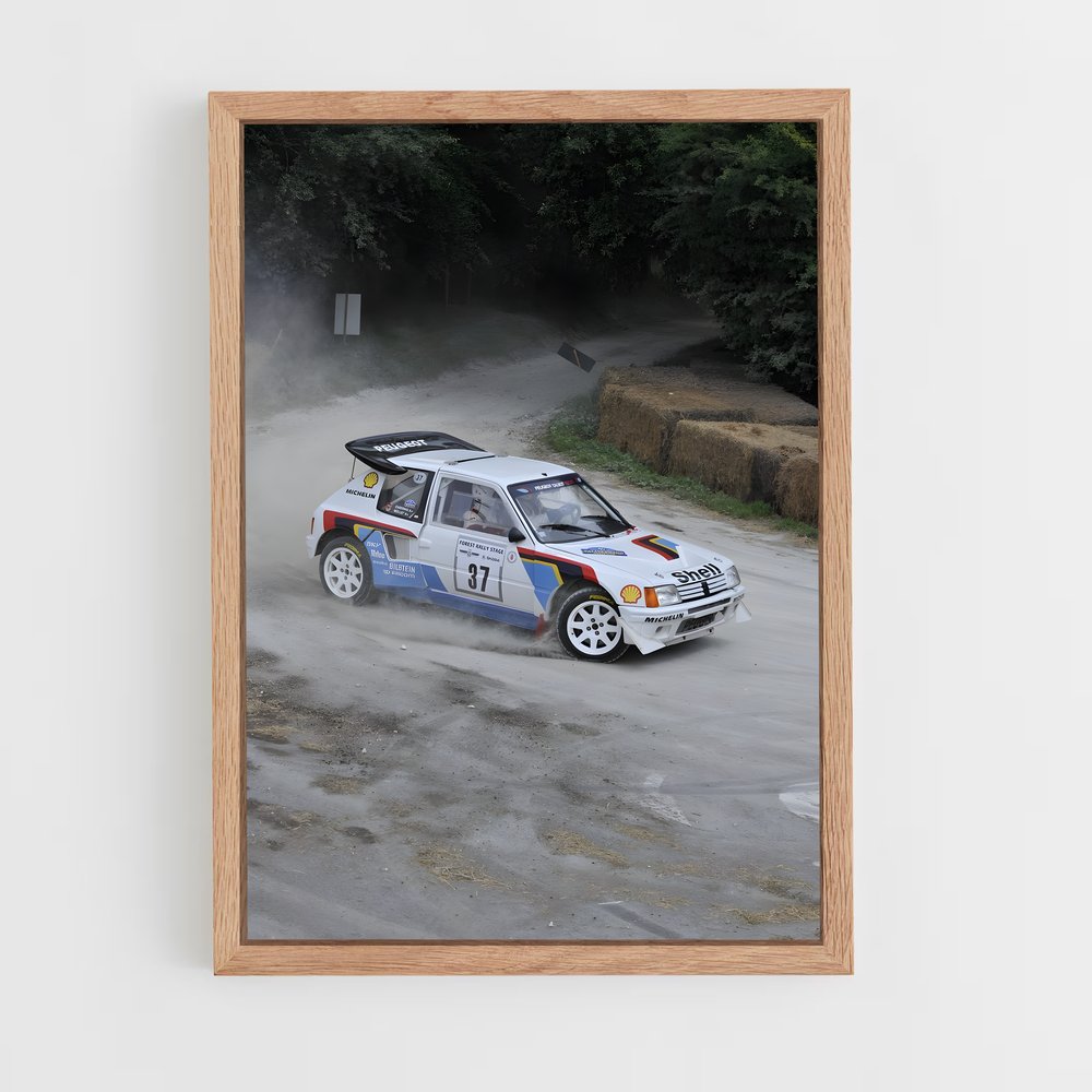 ap-205 rallye-7 cadre Bois clair