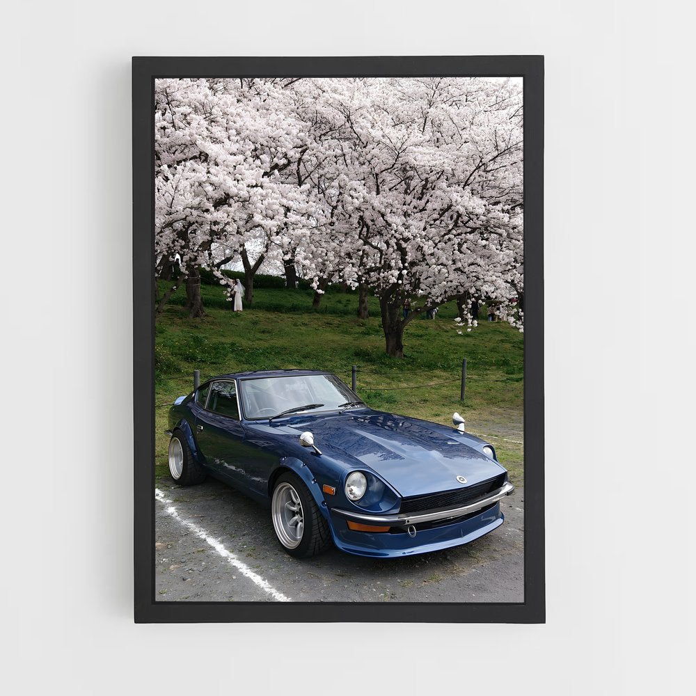 ap-240z-2 cadre Noir