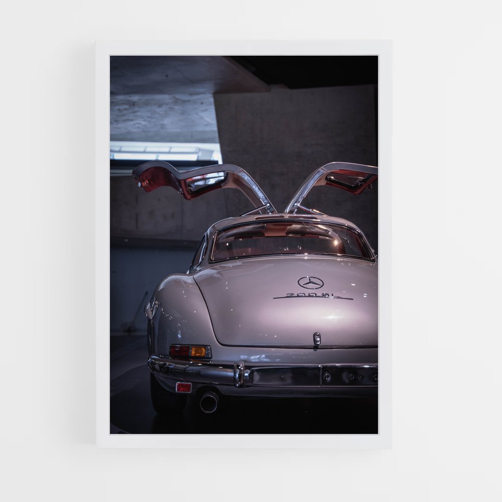 ap-300sl gullwing-1 cadre Blanc