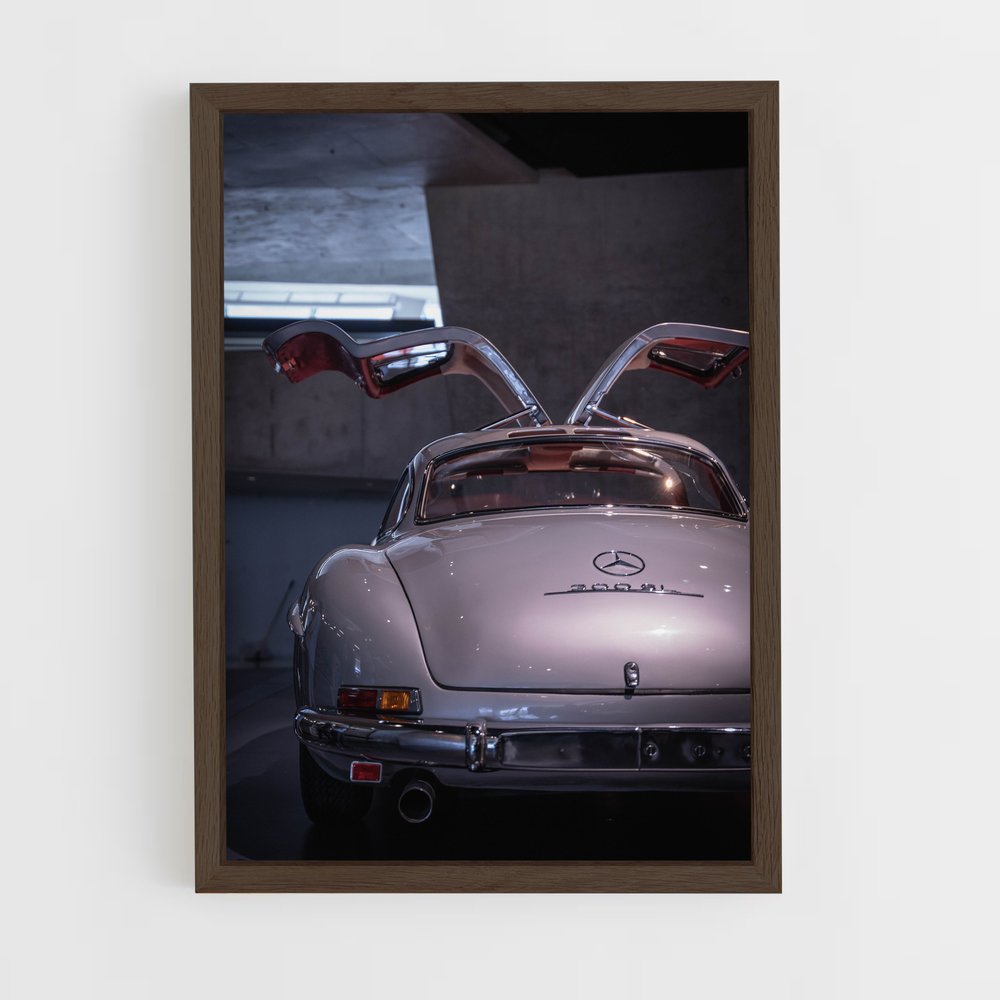 ap-300sl gullwing-1 cadre Bois foncé