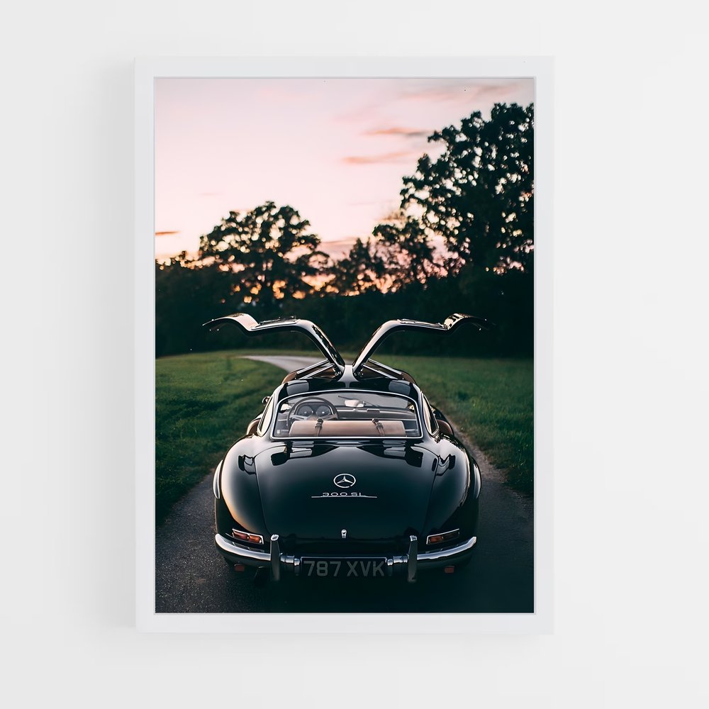 ap-300sl gullwing-2 cadre Blanc