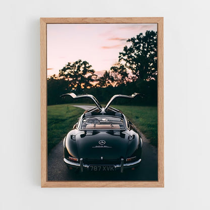 ap-300sl gullwing-2 cadre Bois clair