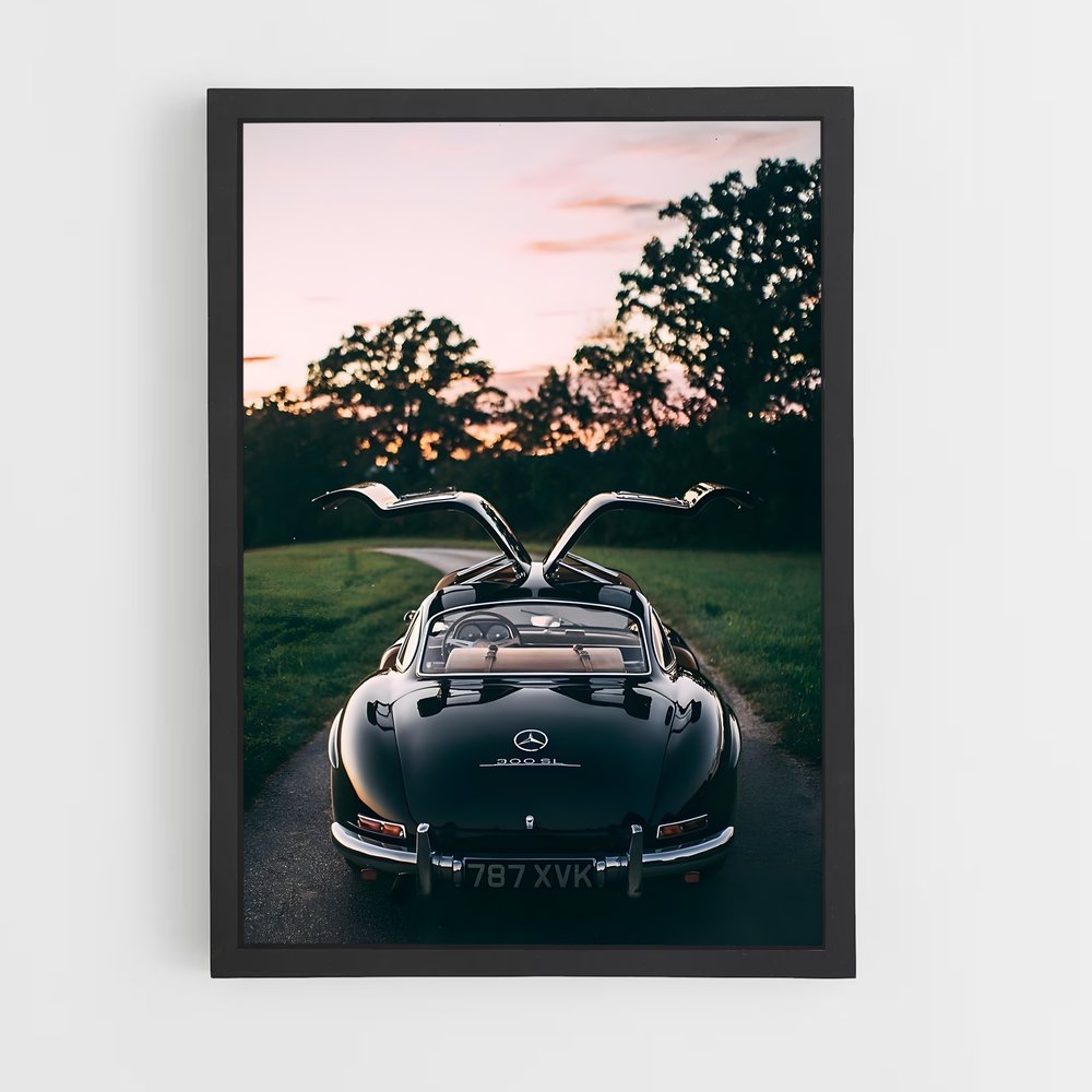 ap-300sl gullwing-2 cadre Noir