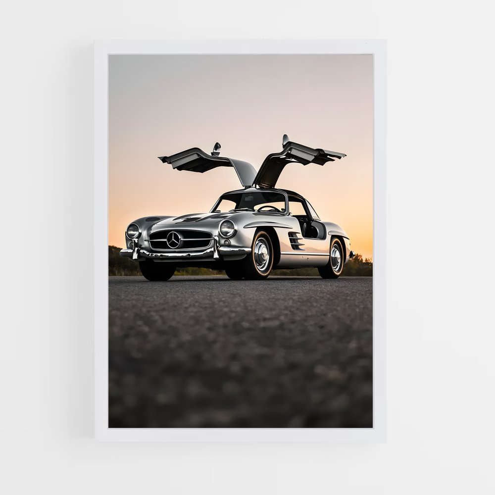 ap-300sl gullwing-5 cadre Blanc