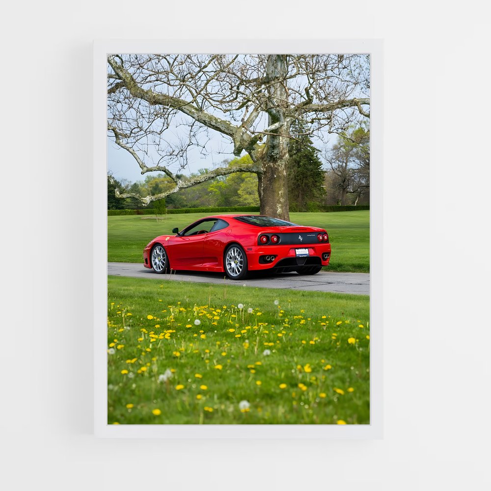 ap-360 challenge stradale-2 cadre Blanc