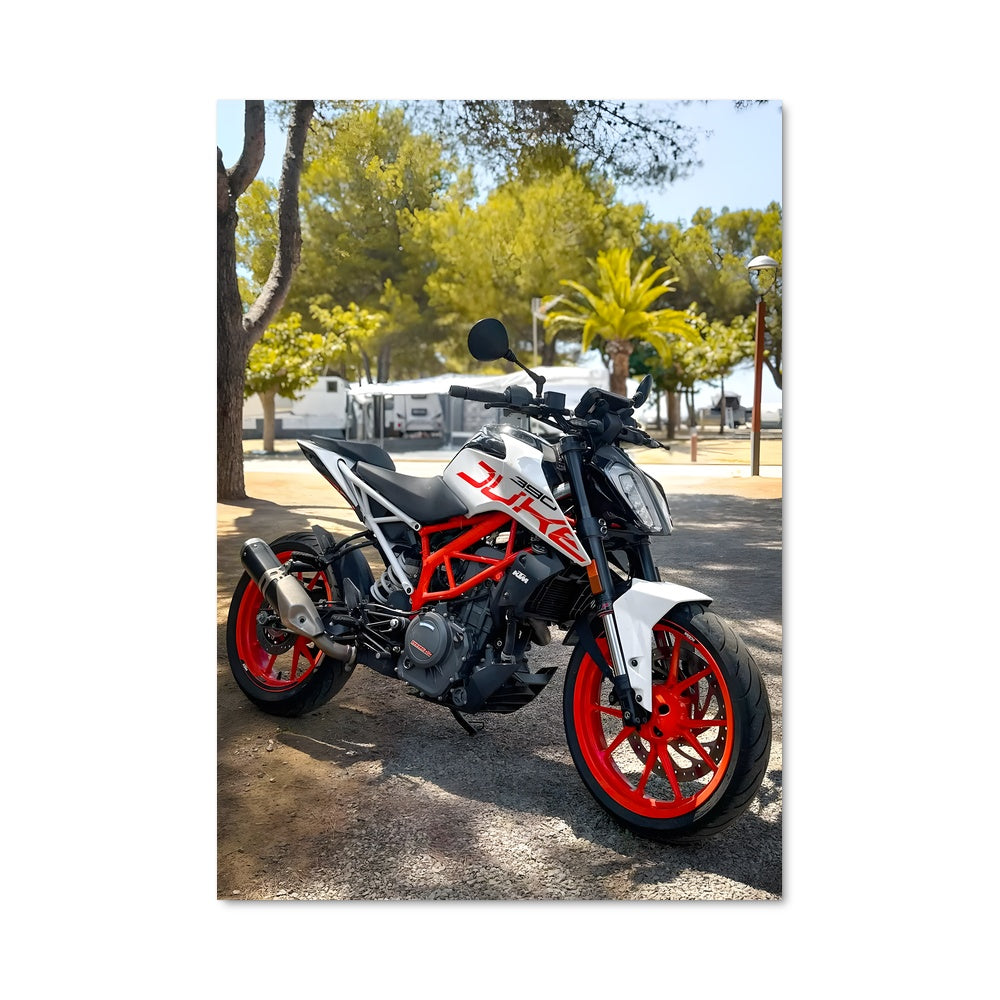 Poster Moto en Liberté