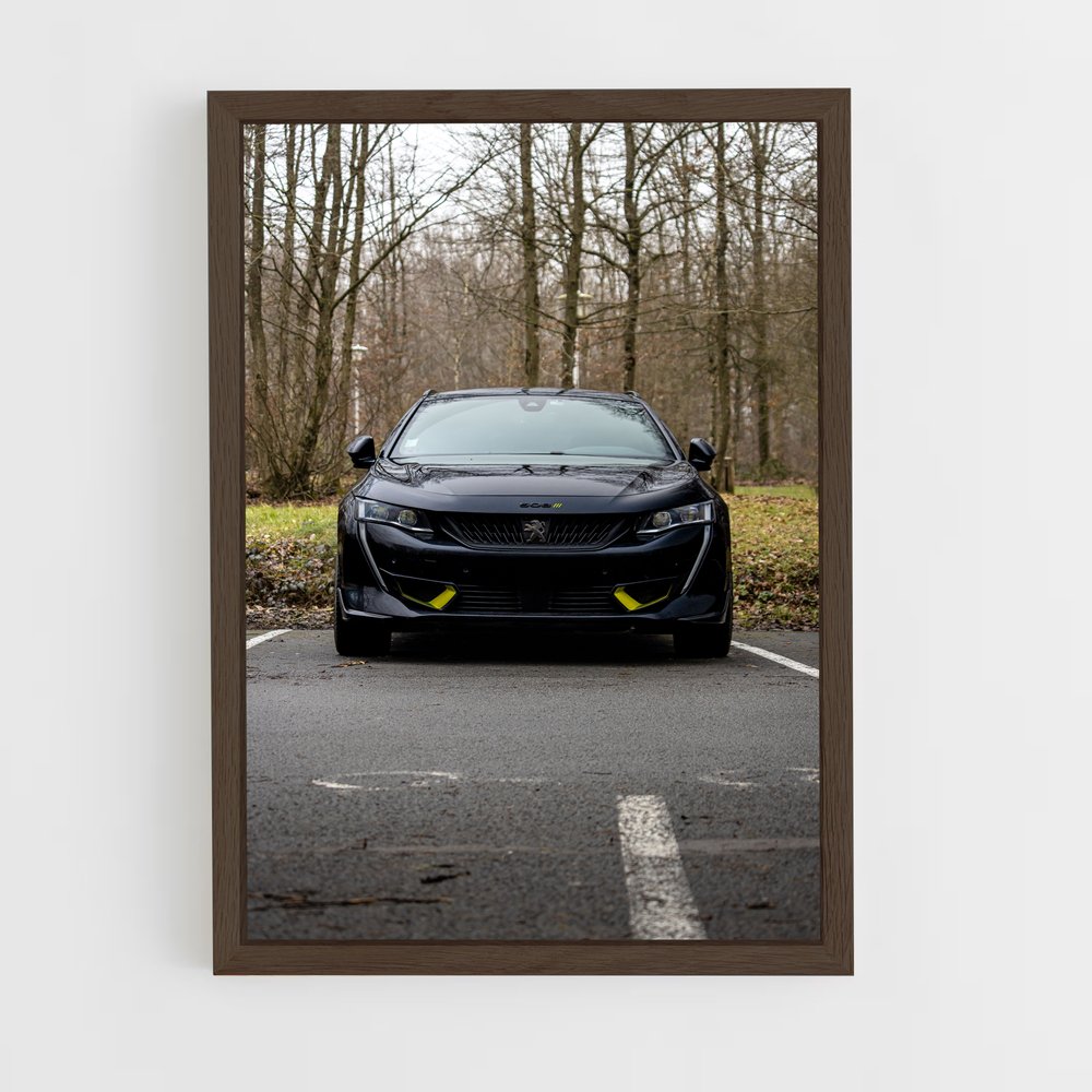 ap-508 pse-2 cadre Bois foncé