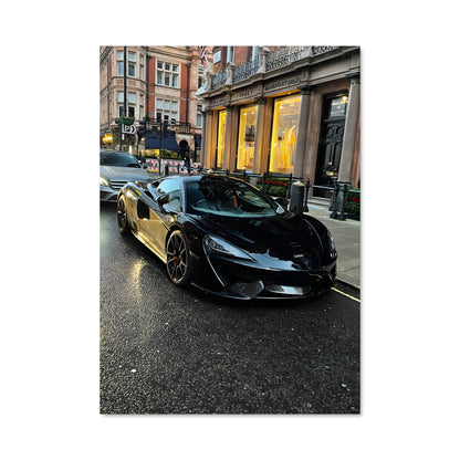 Poster 570s 78462