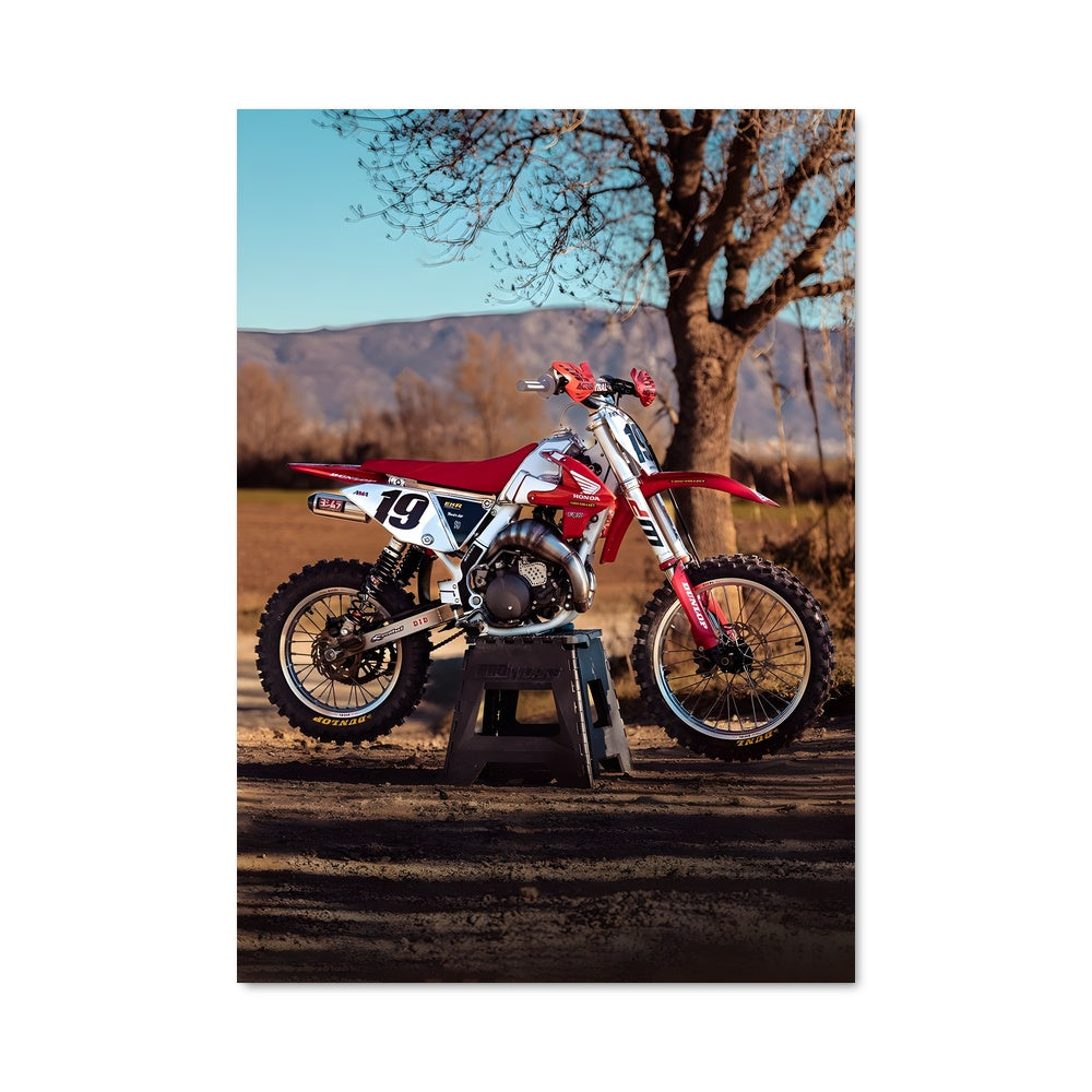 Poster Colorado Ride